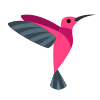 Colibri icon