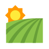 Campo icon