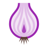 Onion icon