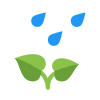 雨の下の植物 icon