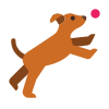 狗公园 icon