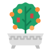 Kumquat icon