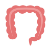 Colon icon