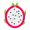 Fruta do dragão icon