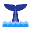 De la cola de ballena icon