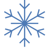 Winter icon