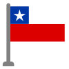 Flag icon