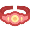 Championship Belt icon