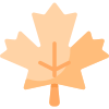 Mapple Leaf icon