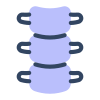 Spine icon