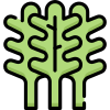 Arugula icon