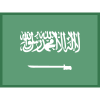 Saudi Arabia icon