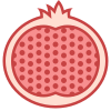 Pomegranate icon