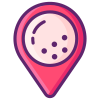 Locator icon