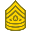 Command Sergeant Major CSM icon