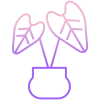 Rubber Plant icon