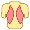 Músculos de la espalda icon