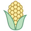 Corn icon