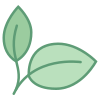 Natural Food icon