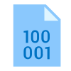 Binary File icon