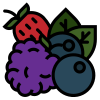 Berries icon