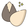 Seed icon