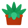 Succulent icon