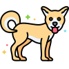 Perro icon