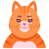 Gato icon