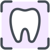 Tooth X-ray icon