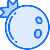 esterno-mirtillo-frutta-filo-blu-filo-blu-pesce-succoso icon