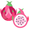 Fruit du dragon icon