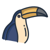 Toucan icon