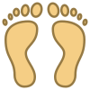 Footprint icon