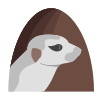 Suricate Lunette icon