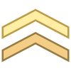 Chevron icon