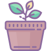 Plante en pot icon