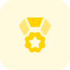 Flower shaped medal with star in centre icon