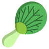 Pok Choi Leaf icon