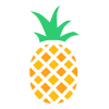 Fruit icon