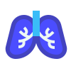 Pulmones icon