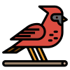 Cardinal icon