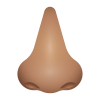 Nase-mittlerer Hautton icon