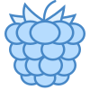 Framboise icon