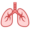 Lungs icon