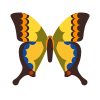 마 혼온 나비 icon