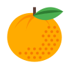 Orange icon