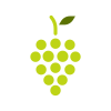 Fruit icon