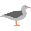 mouette icon