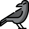 Crow icon